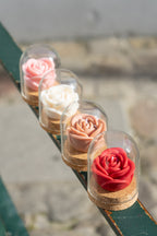 Rosa Botânica – Flor Eterna em Cera de Soja