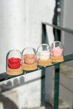 Rosa Botânica – Flor Eterna em Cera de Soja