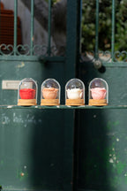 Rosa Botânica – Flor Eterna em Cera de Soja