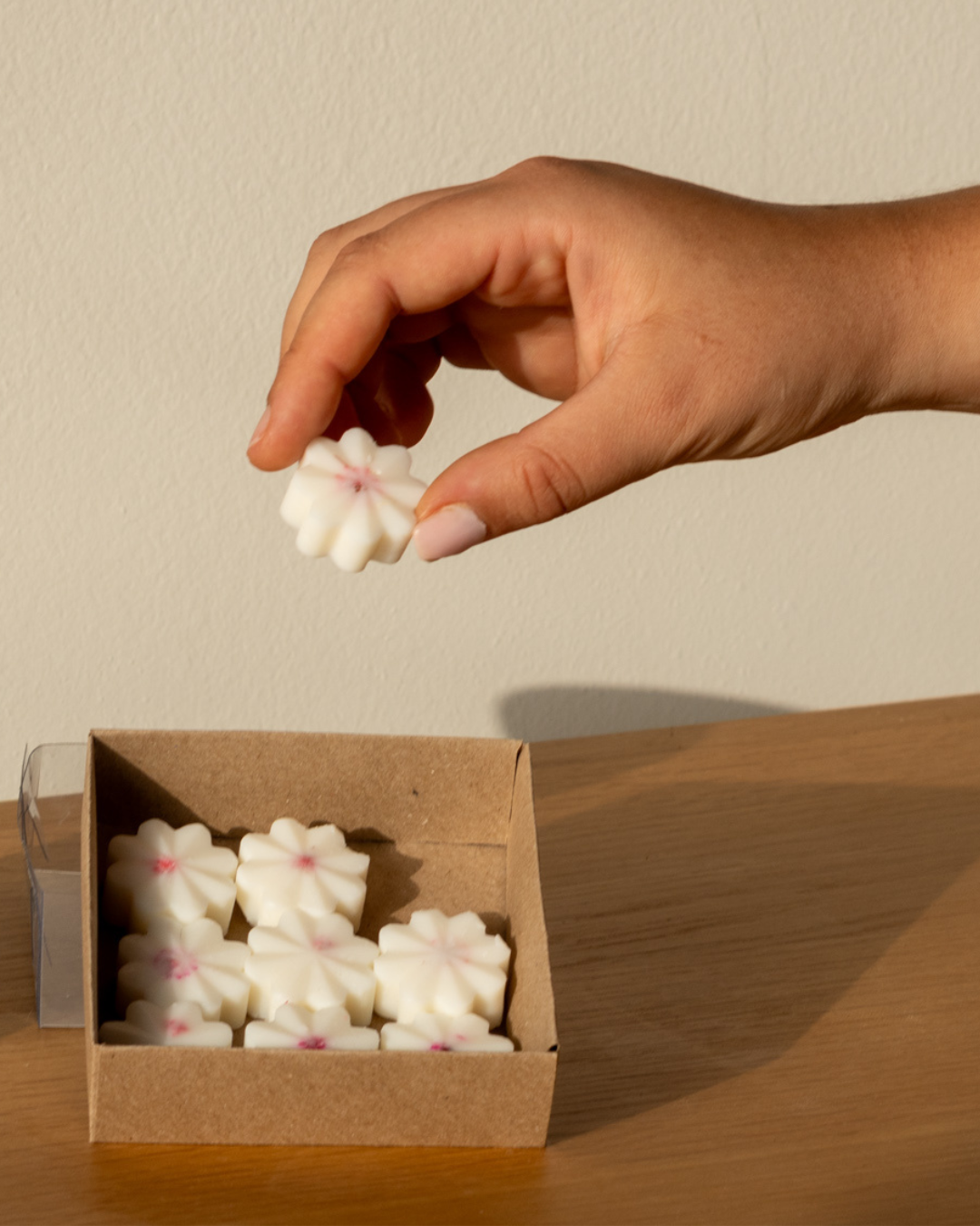 Wax Melts Aromáticos – Pastilhas de Cera Perfumada (9 unid.)